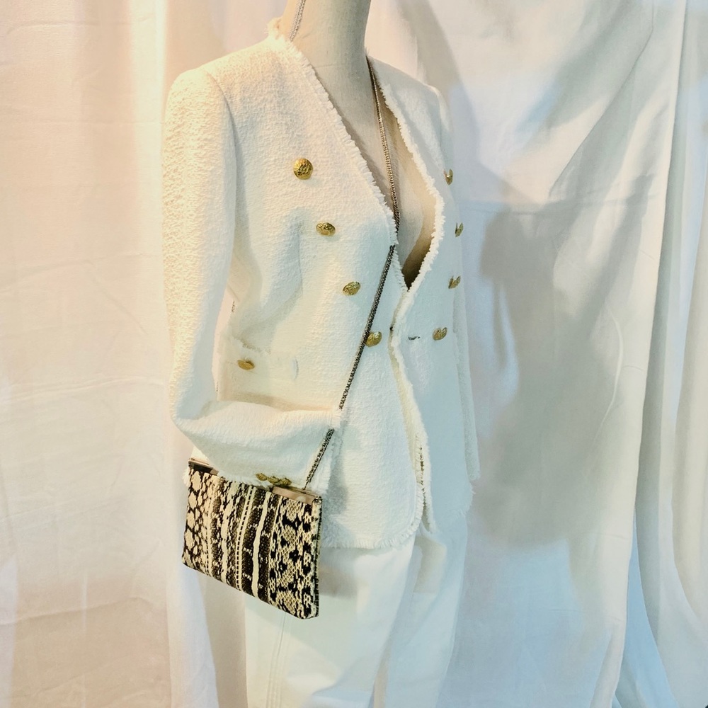 Snakeskin print clutch or chain strap purse.